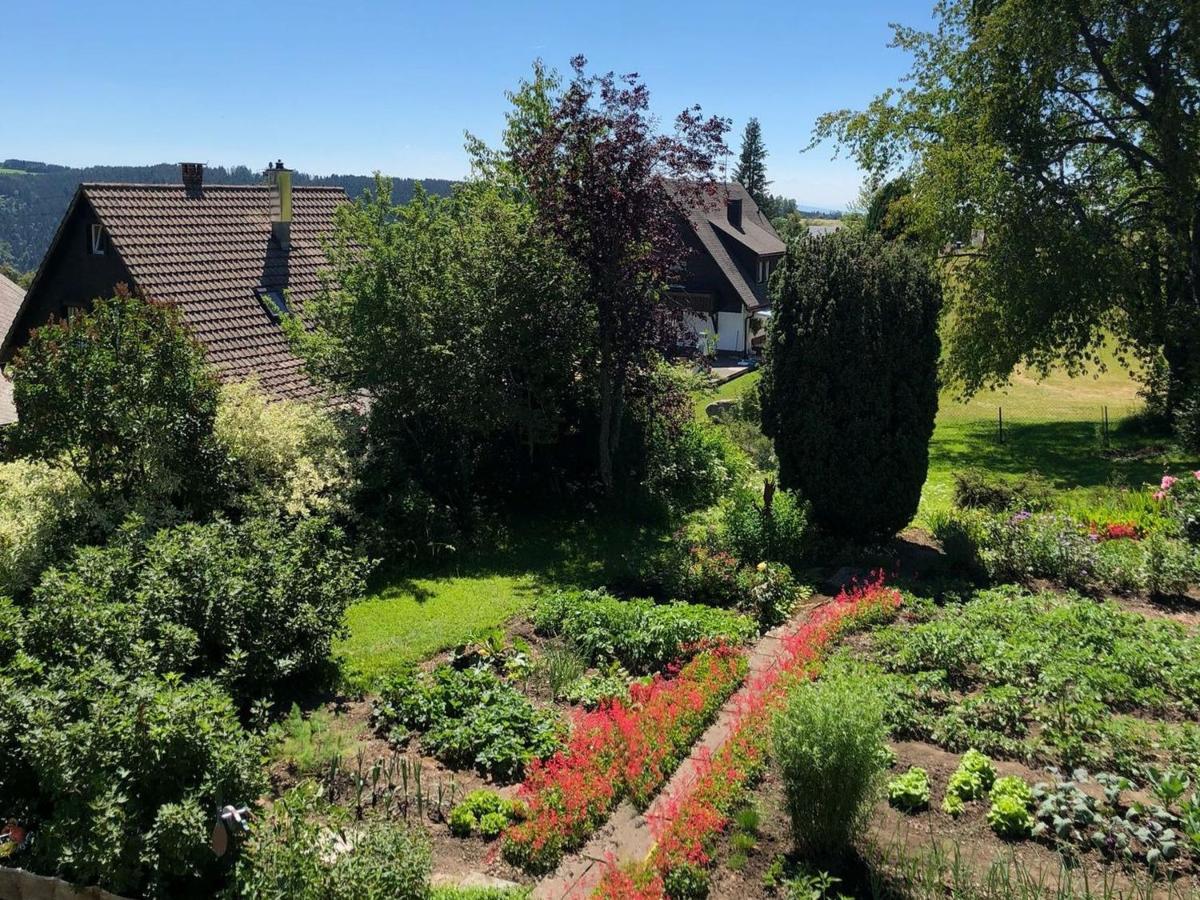 Haus Jurisch Apartment Urberg ภายนอก รูปภาพ