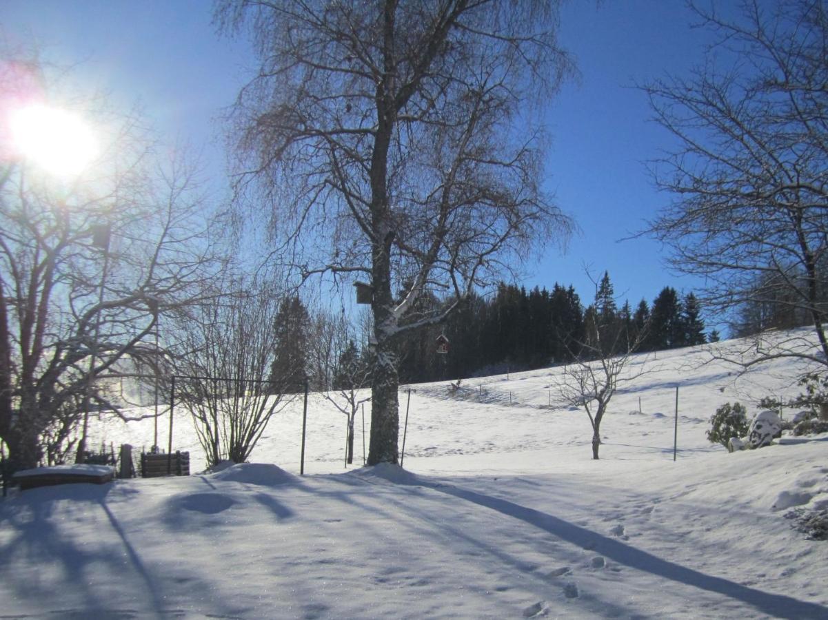 Haus Jurisch Apartment Urberg ภายนอก รูปภาพ